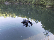 Leštinka 7.-8.6.2014