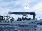 Mexiko leden 2015