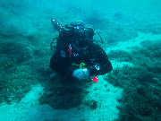 NemoDiving v Chorvatsku září 2014