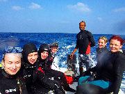 Safari Egypt prosinec 2015
